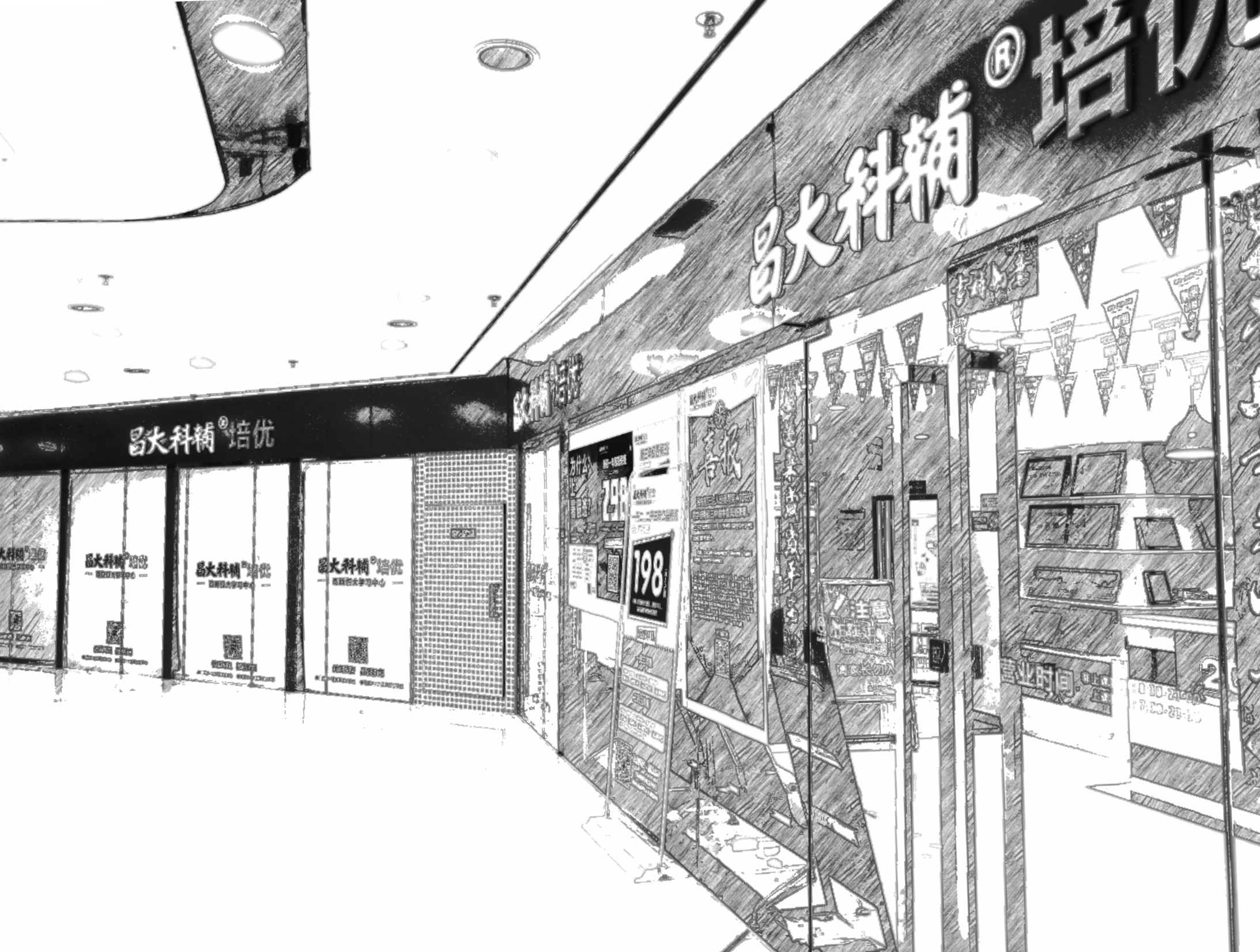 教育团队